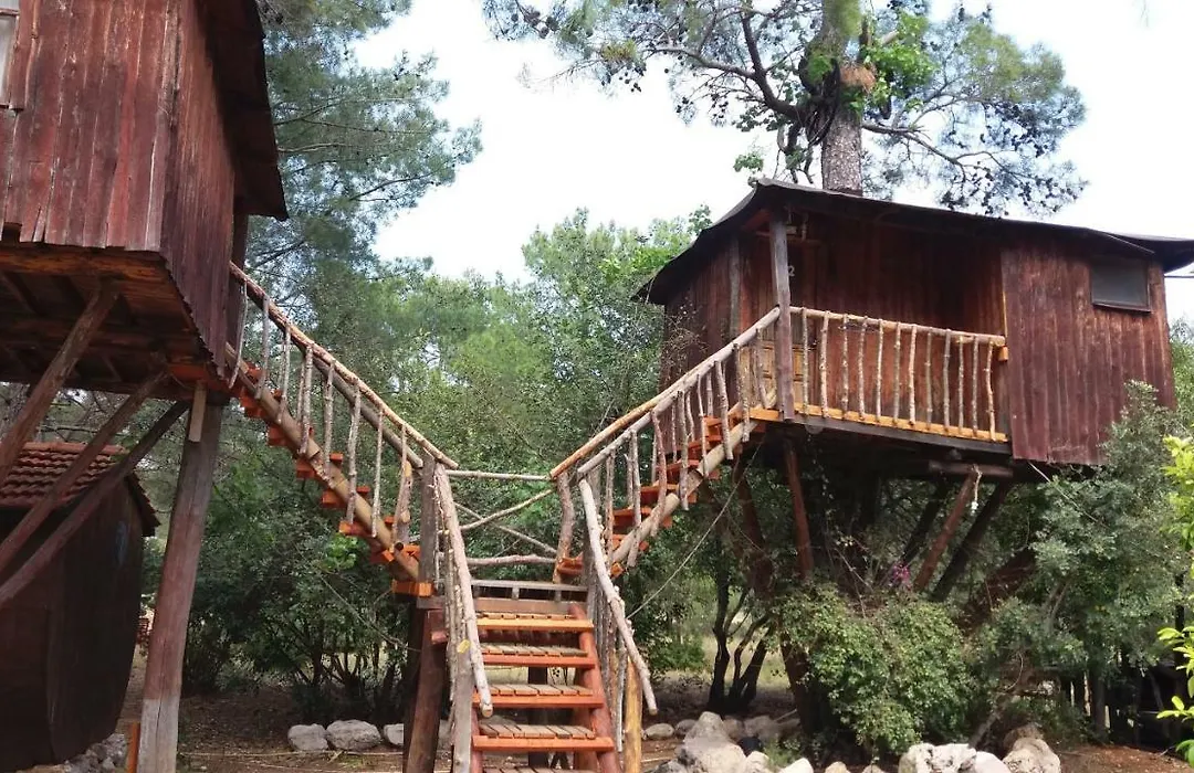 Jungle Bells Hostel-1