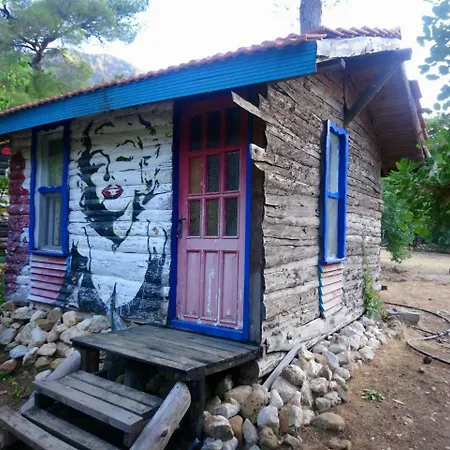 Jungle Bells Hostel-3