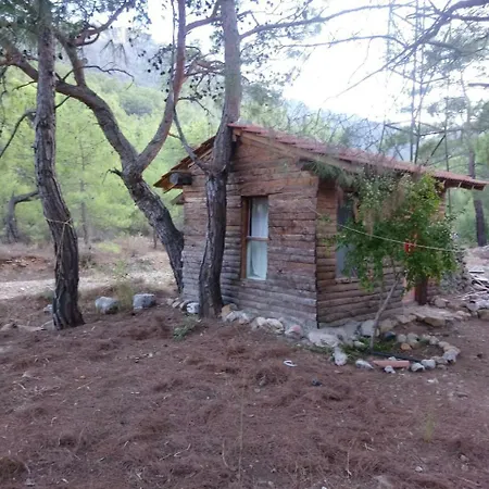 Jungle Bells Hostel-2